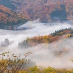 Thumbnail of post image 132