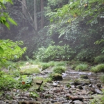 Thumbnail of post image 195